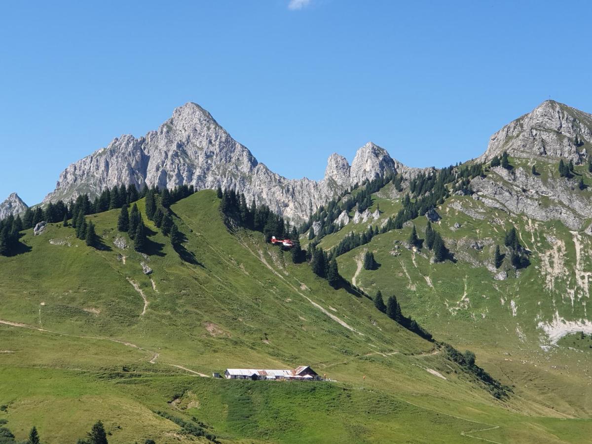 Am Muehlbach - Ferienwohnungen Luttinger Bichlbach Exterior photo